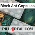 Black Ant Capsules 17